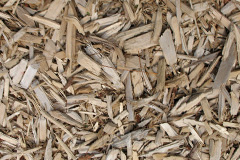 biomass boilers Wetwood